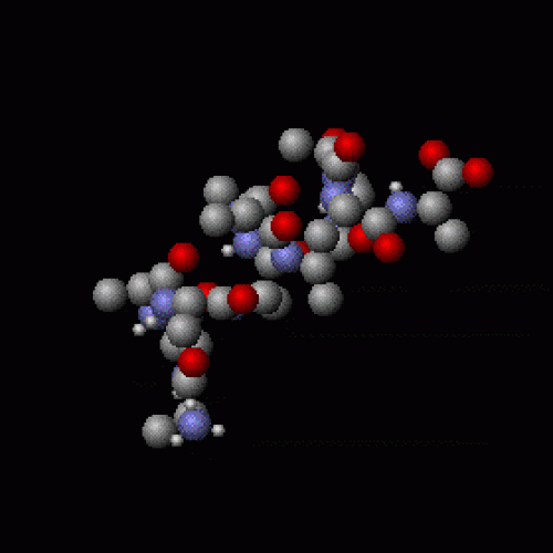 Molekülphysik