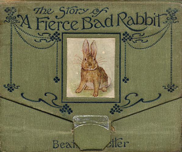 The Story of a Fierce Bad Rabbit
