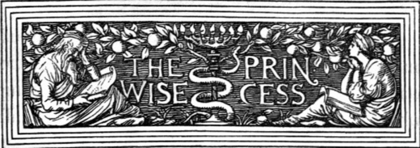 The Wise Princess