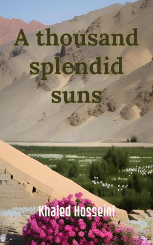 Livro O Caçador de Pipas, resumo (A thousand splendid suns) em inglês