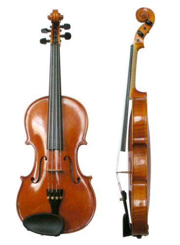 Violine