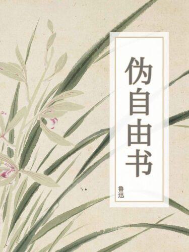 Libro Libro de la falsa libertad (伪自由书) en chino