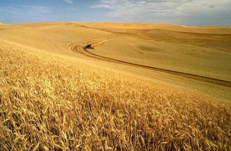 Agriculture in the United States