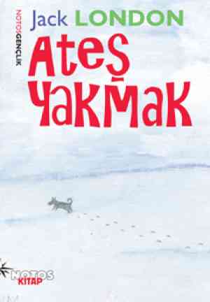 Книга Костёр (Ateş Yakmak) на турецком