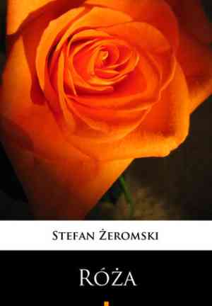 Livro Rosa: Drama Não Encenado (Róża: Dramat niesceniczny) em Polish