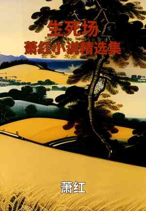 Buch Lebens- und Todesarena: Ausgewählte Geschichten von Xiao Hong (生死场: 萧红小说精选集) auf Chinesisch