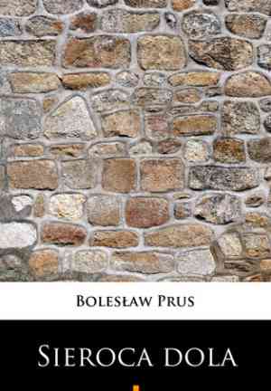 Buch Das Schicksal eines Waisenkindes (Sieroca dola) auf Polish