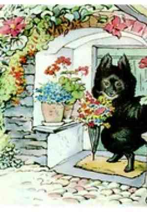 Book Il racconto di Pie e Patty Pan (The Tale of the Pie and the Patty Pan) su inglese