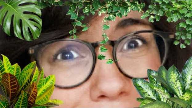 Video I WISH I KNEW THIS BEFORE STARTING MY PLANT COLLECTION ??! auf Deutsch