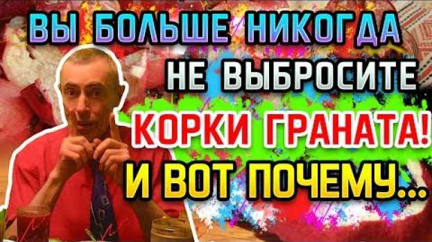 Video ВЫ БОЛЬШЕ НИКОГДА НЕ БУДЕТЕ ВЫБРАСЫВАТЬ КОРКИ ГРАНАТА! И ВОТ ПОЧЕМУ... Мужская сила, сердце, глисты. en español
