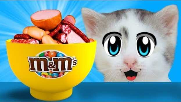 Video ПРИКОЛЫ С КОТАМИ! СМЕШНОЙ КОТ МАЛЫШ И КОШЕЧКА МУРКА едят КОЛБАСНЫЙ m&ms ! НОВЫЕ ПРАНКИ НАД КОТАМИ auf Deutsch
