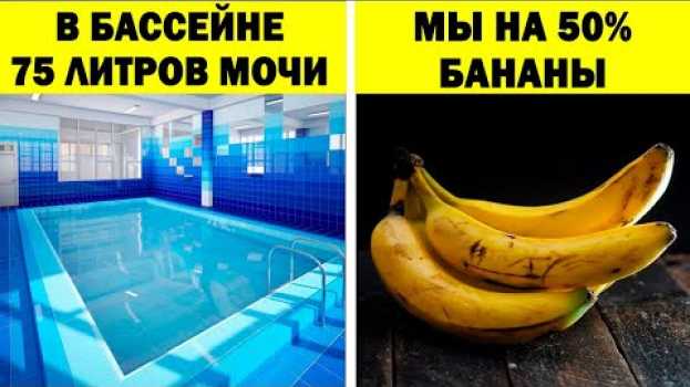 Video Факты, которые вы предпочтёте не знать em português