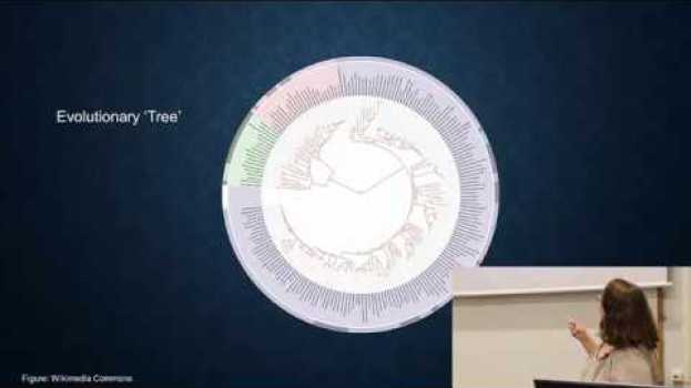Video 3-What are bacteria auf Deutsch