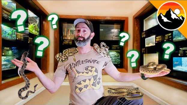 Video SNAKE CHALLENGE - Which one is Deadliest?! po polsku