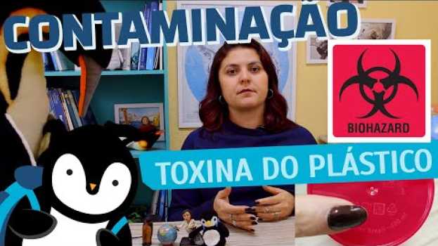 Video Os animais estão contaminados por plástico e você também | Gelo na Bagagem |#20 en français