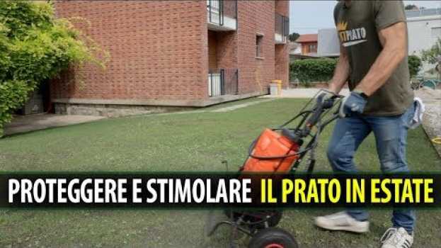 Video PROTEGGERE e STIMOLARE il Prato in Estate em português