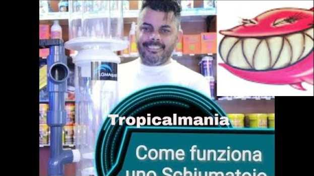Video Schiumatoio. Come funziona uno schiumatoio? po polsku