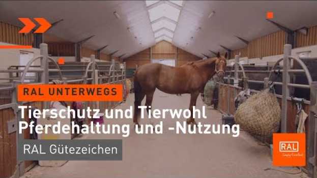 Video Tierschutz und Tierwohl - Pferdehaltung und -Nutzung mit dem RAL Gütezeichen em português