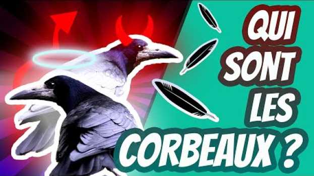 Video Qui sont les corbeaux ? Cuicui Express #18 auf Deutsch