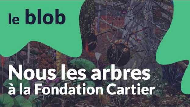 Video « Nous les arbres », à la Fondation Cartier | Vu au musée po polsku
