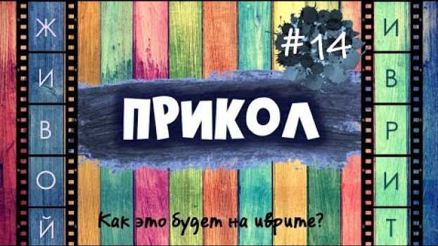 Video #14 "ПРИКОЛ" | Как это будет на иврите?   türkçe