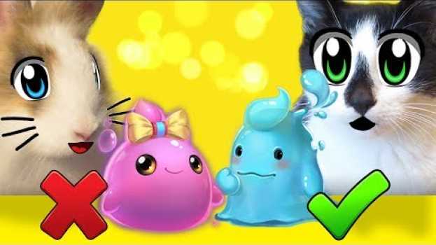 Video ЛИЗУН ЧЕЛЛЕНДЖ! КРОЛИК БАФФИ и КОТ МАЛЫШ делают СЛАЙМ! новый SLIME CHALLENGE! ЛИЗУНЫ СВОИМИ РУКАМИ en français