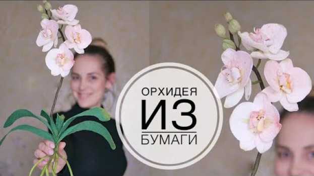 Video Paper ORCHID / ОРХИДЕЯ из бумаги / Как долго ее ждали / DIY TSVORIC   türkçe