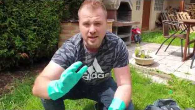 Video Comment se débarrasser des RATS dans votre JARDIN ? auf Deutsch