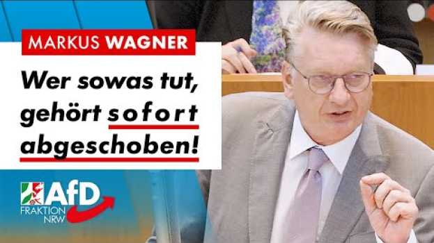 Video Wer sowas tut, gehört sofort abgeschoben! – Markus Wagner (AfD) su italiano