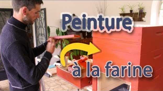 Video Peinture suédoise maison pour nos ruches su italiano