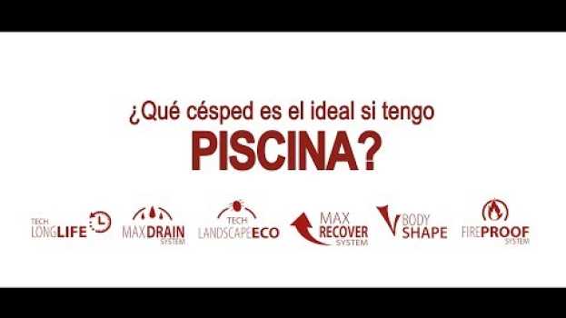 Video ¿Qué césped es el ideal si tengo piscina? po polsku