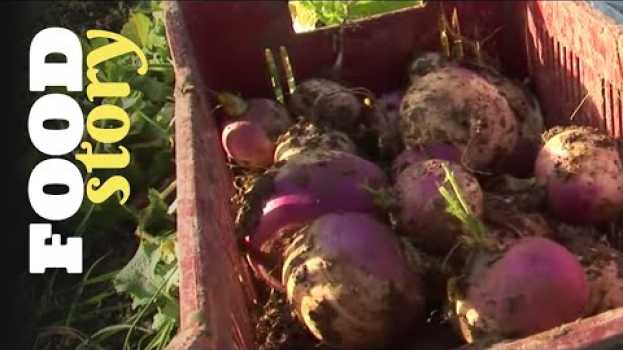 Video Pesticides dans nos assiettes : comment s'en débarrasser ?   türkçe