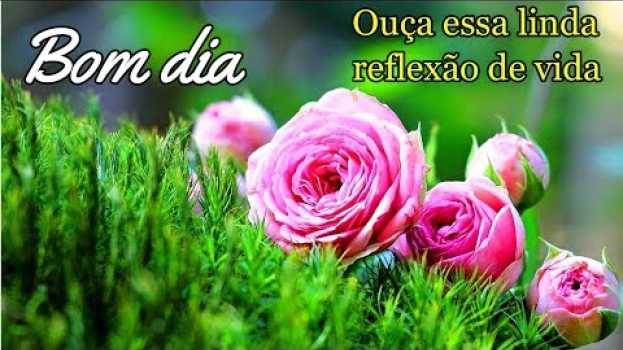 Video Mensagem de Bom Dia /Quem Dobrou o Seu Para quedas Hoje? auf Deutsch