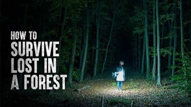 Video How to Survive Alone in the Forest em português