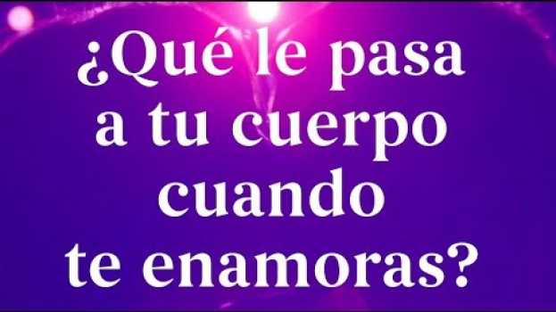 Видео ¿Qué le pasa a tu cuerpo cuando te enamoras? на русском