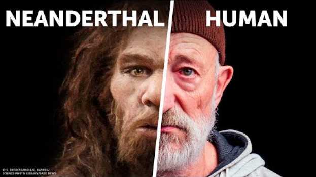 Video Who Would Win: You VS. Neanderthal auf Deutsch