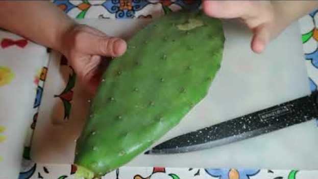 Video Nopal / Pale di fico d'India/ pulizia ed estrazione gel em português