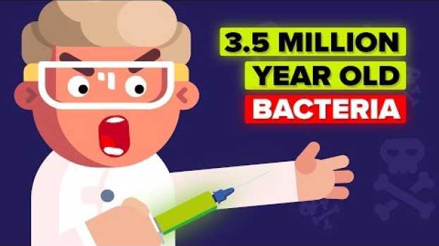 Video Why Would a Scientist Inject Himself with 3.5 Million Year Old Bacteria? en español