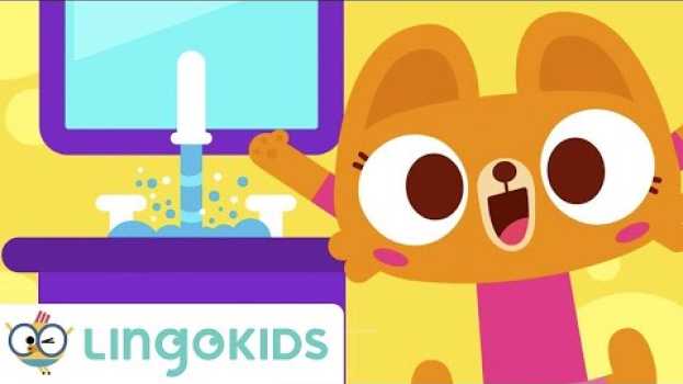 Video 🧼 WASHING HANDS  🙌 Songs for Kids 👫 Good Hygiene Habits Lingokids auf Deutsch
