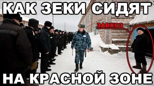 Video Как сидят на красной зоне. Какую колонию называют красной po polsku
