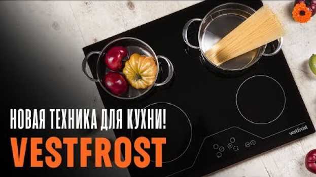 Video ВСЕ ФИШКИ встраиваемой техники Vestfrost in English