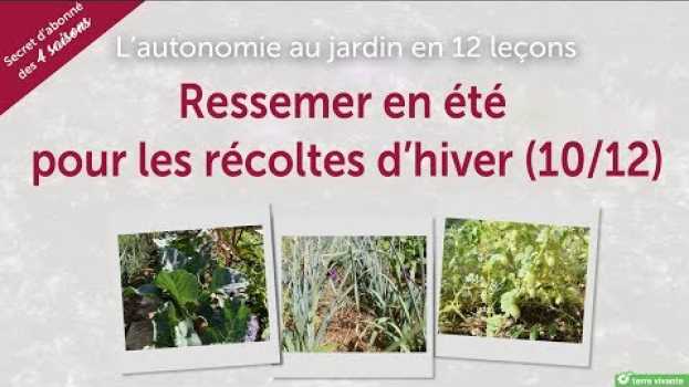 Видео Ressemer en été pour les récoltes d'hiver - l'autonomie au jardin en 12 leçons (10/12) на русском
