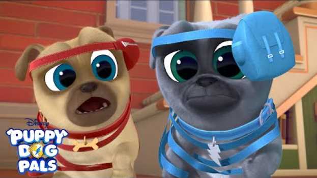 Video Up and at 'Em | Puppy Playcare | Puppy Dog Pals | Disney Junior en español