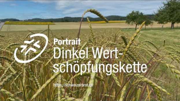 Video UrDinkel - vom Anbau bis zum fertigen Brot des wertvollsten Getreides in English