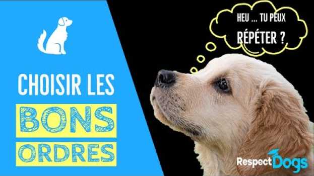 Video QUELS MOTS UTILISER AVEC MON CHIEN in English