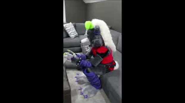Video Roxy Plays Fnaf - Living With Animatronics su italiano
