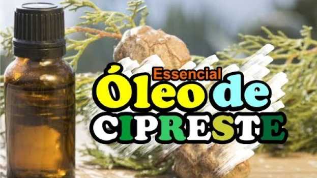 Video ÓLEO ESSENCIAL DE CIPRESTE | TODOS OS BENEFÍCIOS   türkçe