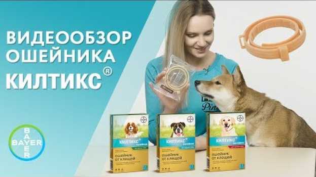 Video Ошейник Килтикс от клещей и блох. Видеообзор от производителя   türkçe