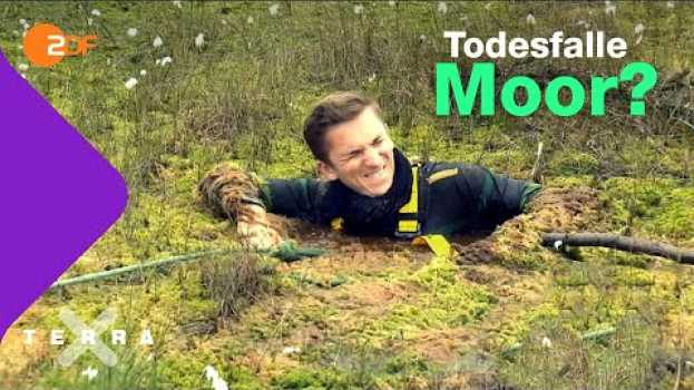 Video Kann man im Moor versinken? | Terra X plus   türkçe