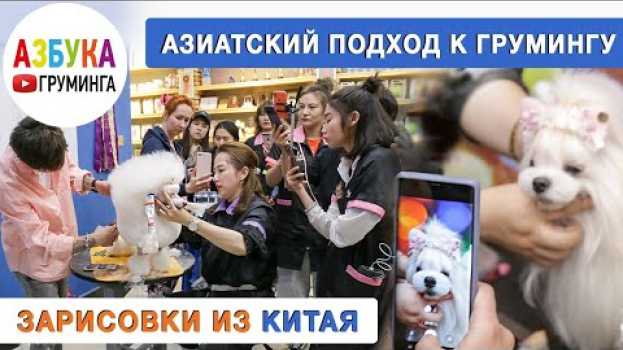 Video Мы в Китае!!! Особенности Азиатского груминга auf Deutsch